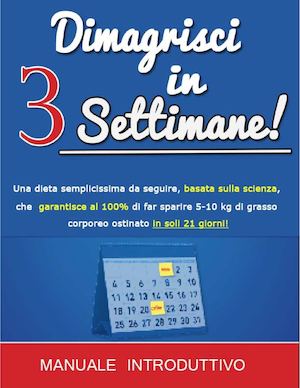 resistenza alla dieta dellinsulina pdf