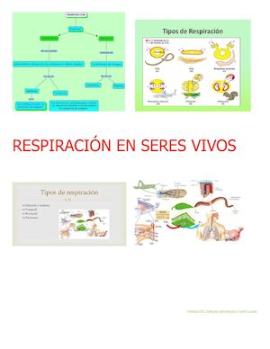 Respiración En Seres Vivos
