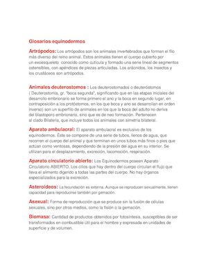 Glosarios Equinodermos