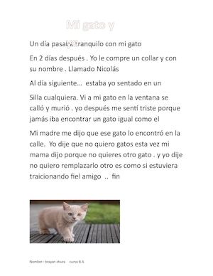 el cuento de un gatito