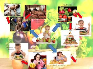 Mapa Mental Nutricion Deporte