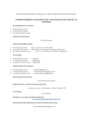 Proyecto de la granada chalaca