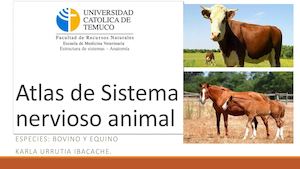 Atlas De Sistema Nervioso Animal