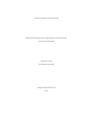 Proyecto Semáforo Media Fortalecida