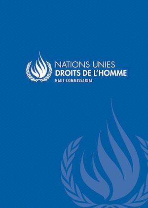 Présentation du HCDH-Tunisie