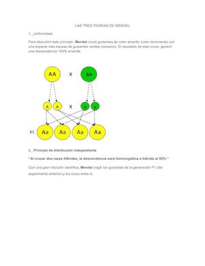 Las Tres Teorias De Mendel