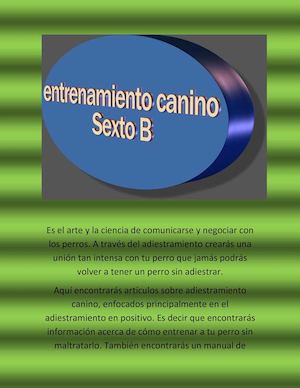 Entrenamiento Canino