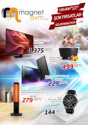 Magnet AVM insert 15