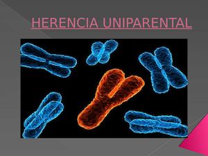 Herencia Uniparental