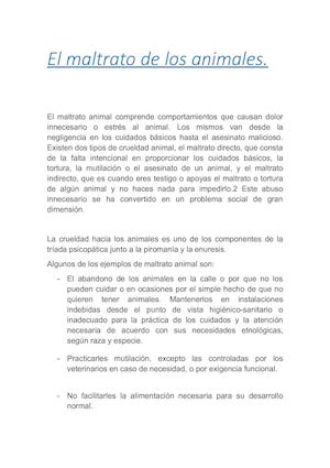 El Maltrato De Los Animales
