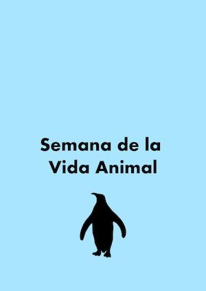 Pingüino De Humboldt