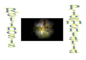 Qué Es La Retinosis Pigmentaria