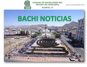 Bachi Noticias