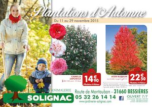 Solignac-Novembre 2015