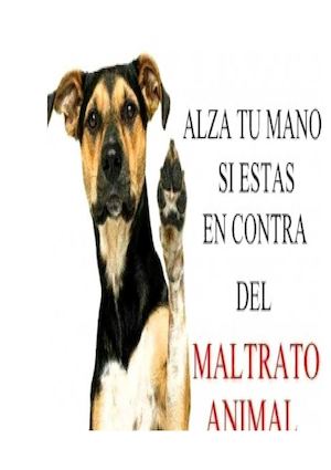 MALTRATO ANIMAL