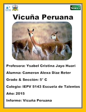 Vicuña Peruana