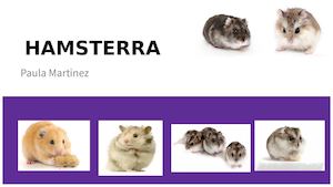 HAMSTERRA