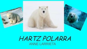 Hartz Polarra
