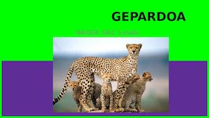 Gepardoa