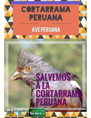 Info Cta
