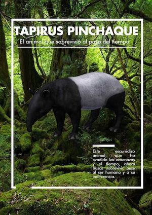 Tapirus Pinchaque, El Animal que sobrevivió al pasar del tiempo