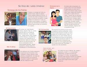 Proyecto De Vida Infografia