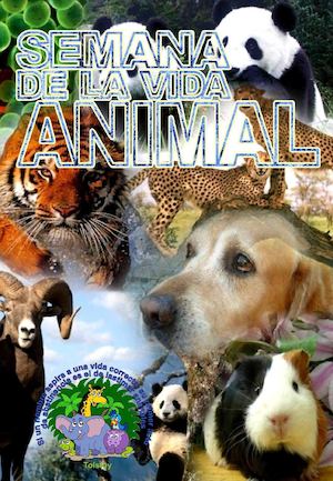 LIBRO VIRTUAL :3: Mono de cara roja se va quedando sin hogar