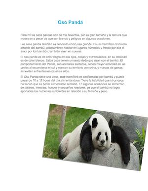 Reto word (Panda)