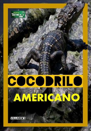 Cocodrilo americano