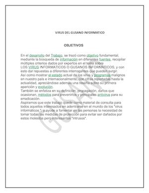 Virus Del Gusano Informatico