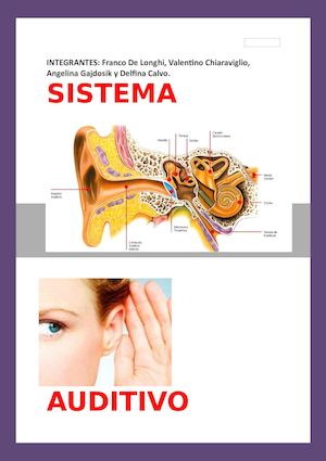 sentido auditivo
