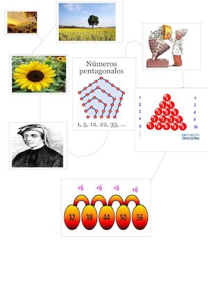 Mapa Mental Matematica