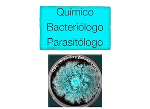 Químico Bacteriólogo Parasitólogo