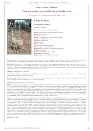 Erbe Spontanee Commestibili Del Territorio Etneo - Barba Di Becco