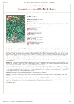 Erbe Spontanee Commestibili Del Territorio Etneo - Caccialepre