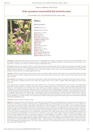 Erbe Spontanee Commestibili Del Territorio Etneo - Malva