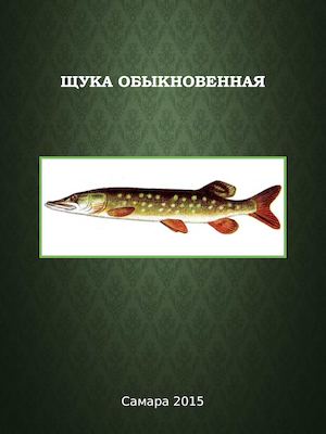 Щука обыкновенная