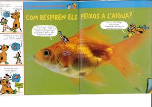 Com Respiren Els Peixos A L'aigua?