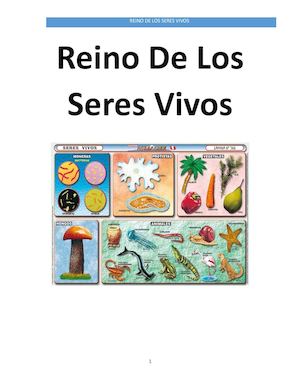 Reino De Los Seres Vivos