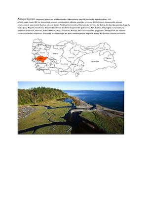 Alüvyal Toprak Coğrafya öDev