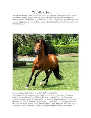 Caballo Criollo