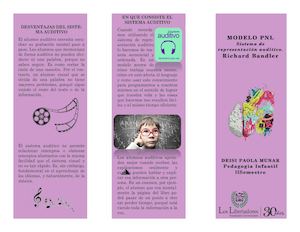 Folleto Modelo Pnl (1)