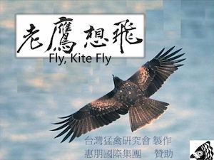 老鷹想飛2015全台紮根