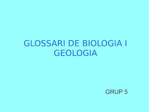 Risc Geologic