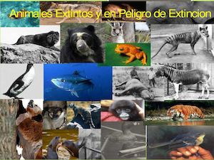 Animales en peligro de extinción y extintos