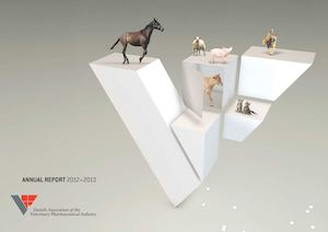 2012 2013 VIF Annual Report