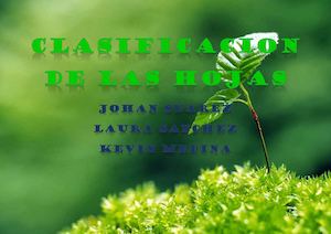 Clasificacion De Las Hojas Biologia