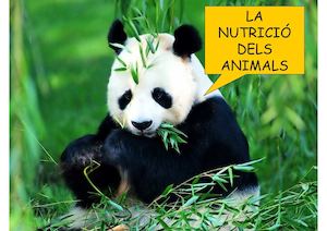 La Nutricio Dels Animals