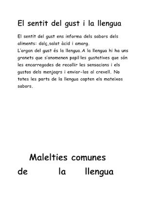 Elsentitdelgustilallengua