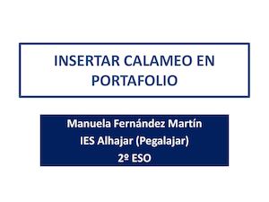 Insertar Calameo En Portafolio